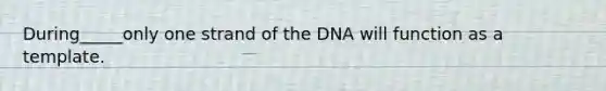 During_____only one strand of the DNA will function as a template.