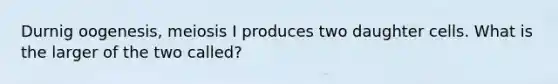 Durnig oogenesis, meiosis I produces two daughter cells. What is the larger of the two called?