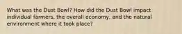 What was the Dust Bowl? How did the Dust Bowl impact individual farmers, the overall economy, and the natural environment where it took place?