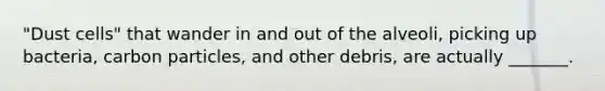 "Dust cells" that wander in and out of the alveoli, picking up bacteria, carbon particles, and other debris, are actually _______.