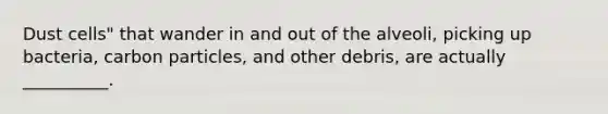 Dust cells" that wander in and out of the alveoli, picking up bacteria, carbon particles, and other debris, are actually __________.