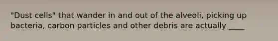 "Dust cells" that wander in and out of the alveoli, picking up bacteria, carbon particles and other debris are actually ____