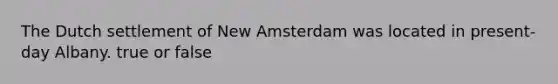 The Dutch settlement of New Amsterdam was located in present-day Albany. true or false