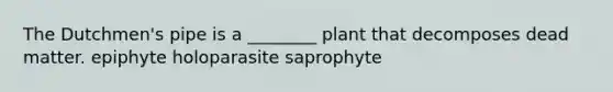 The Dutchmen's pipe is a ________ plant that decomposes dead matter. epiphyte holoparasite saprophyte