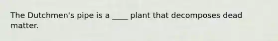 The Dutchmen's pipe is a ____ plant that decomposes dead matter.