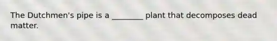 The Dutchmen's pipe is a ________ plant that decomposes dead matter.