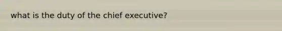 what is the duty of the chief executive?