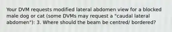 Your DVM requests modified lateral abdomen view for a blocked male dog or cat (some DVMs may request a "caudal lateral abdomen"): 3. Where should the beam be centred/ bordered?