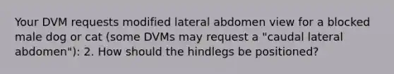 Your DVM requests modified lateral abdomen view for a blocked male dog or cat (some DVMs may request a "caudal lateral abdomen"): 2. How should the hindlegs be positioned?