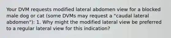 Your DVM requests modified lateral abdomen view for a blocked male dog or cat (some DVMs may request a "caudal lateral abdomen"): 1. Why might the modified lateral view be preferred to a regular lateral view for this indication?