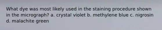 What dye was most likely used in the staining procedure shown in the micrograph? a. crystal violet b. methylene blue c. nigrosin d. malachite green