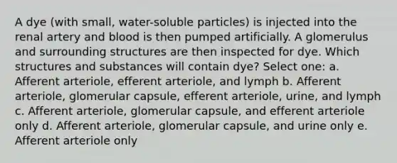 A dye (with small, water-soluble particles) is injected into the renal artery and blood is then pumped artificially. A glomerulus and surrounding structures are then inspected for dye. Which structures and substances will contain dye? Select one: a. Afferent arteriole, efferent arteriole, and lymph b. Afferent arteriole, glomerular capsule, efferent arteriole, urine, and lymph c. Afferent arteriole, glomerular capsule, and efferent arteriole only d. Afferent arteriole, glomerular capsule, and urine only e. Afferent arteriole only