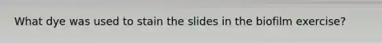 What dye was used to stain the slides in the biofilm exercise?