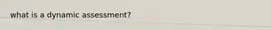 what is a dynamic assessment?