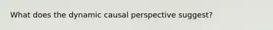 What does the dynamic causal perspective suggest?