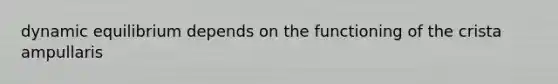dynamic equilibrium depends on the functioning of the crista ampullaris