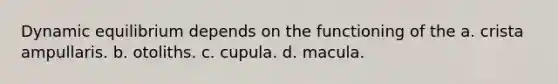 Dynamic equilibrium depends on the functioning of the a. crista ampullaris. b. otoliths. c. cupula. d. macula.