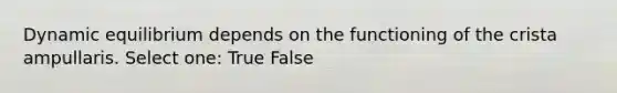 Dynamic equilibrium depends on the functioning of the crista ampullaris. Select one: True False