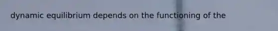 dynamic equilibrium depends on the functioning of the