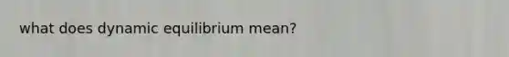what does dynamic equilibrium mean?