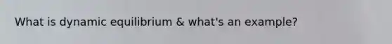 What is dynamic equilibrium & what's an example?