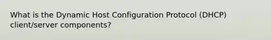 What is the Dynamic Host Configuration Protocol (DHCP) client/server components?