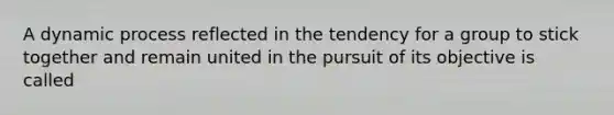 A dynamic process reflected in the tendency for a group to stick together and remain united in the pursuit of its objective is called