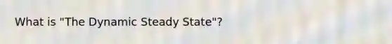 What is "The Dynamic Steady State"?