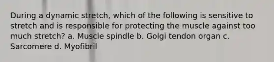 During a dynamic stretch, which of the following is sensitive to stretch and is responsible for protecting the muscle against too much stretch? a. Muscle spindle b. Golgi tendon organ c. Sarcomere d. Myofibril