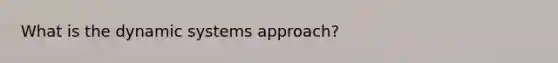 What is the dynamic systems approach?