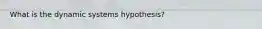 What is the dynamic systems hypothesis?