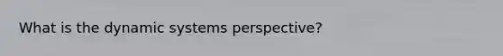 What is the dynamic systems perspective?