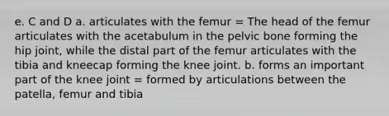 e. C and D a. articulates with the femur = The head of the femur articulates with the acetabulum in the pelvic bone forming the hip joint, while the distal part of the femur articulates with the tibia and kneecap forming the knee joint. b. forms an important part of the knee joint = formed by articulations between the patella, femur and tibia