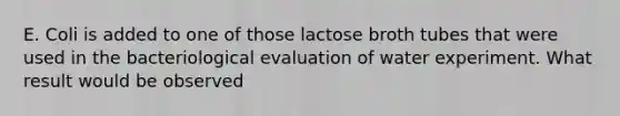 E. Coli is added to one of those lactose broth tubes that were used in the bacteriological evaluation of water experiment. What result would be observed