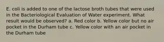 E. coli is added to one of the lactose broth tubes that were used in the Bacteriological Evaluation of Water experiment. What result would be observed? a. Red color b. Yellow color but no air pocket in the Durham tube c. Yellow color with an air pocket in the Durham tube