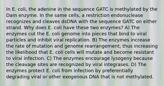 In E. coli, the adenine in the sequence GATC is methylated by the Dam enzyme. In the same cells, a restriction endonuclease recognizes and cleaves dsDNA with the sequence GATC on either strand. Why does E. coli have these two enzymes? A) The enzymes cut the E. coli genome into pieces that bind to viral particles and inhibit viral replication. B) The enzymes increase the rate of mutation and genome rearrangement, thus increasing the likelihood that E. coli cells will mutate and become resistant to viral infection. C) The enzymes encourage lysogeny because the cleavage sites are recognized by viral integrases. D) The enzymes protect E. coli from infection by preferentially degrading viral or other exogenous DNA that is not methylated.