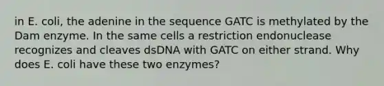 in E. coli, the adenine in the sequence GATC is methylated by the Dam enzyme. In the same cells a restriction endonuclease recognizes and cleaves dsDNA with GATC on either strand. Why does E. coli have these two enzymes?