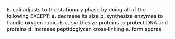 E. coli adjusts to the stationary phase by doing all of the following EXCEPT: a. decrease its size b. synthesize enzymes to handle oxygen radicals c. synthesize proteins to protect DNA and proteins d. increase peptidoglycan cross-linking e. form spores