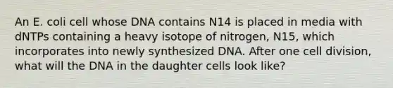 An E. coli cell whose DNA contains N14 is placed in media with dNTPs containing a heavy isotope of nitrogen, N15, which incorporates into newly synthesized DNA. After one cell division, what will the DNA in the daughter cells look like?