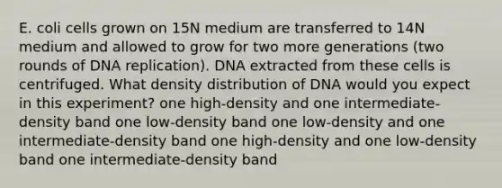 E. coli cells grown on 15N medium are transferred to 14N medium and allowed to grow for two more generations (two rounds of DNA replication). DNA extracted from these cells is centrifuged. What density distribution of DNA would you expect in this experiment? one high-density and one intermediate-density band one low-density band one low-density and one intermediate-density band one high-density and one low-density band one intermediate-density band