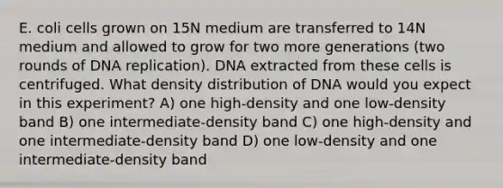 E. coli cells grown on 15N medium are transferred to 14N medium and allowed to grow for two more generations (two rounds of <a href='https://www.questionai.com/knowledge/kofV2VQU2J-dna-replication' class='anchor-knowledge'>dna replication</a>). DNA extracted from these cells is centrifuged. What density distribution of DNA would you expect in this experiment? A) one high-density and one low-density band B) one intermediate-density band C) one high-density and one intermediate-density band D) one low-density and one intermediate-density band