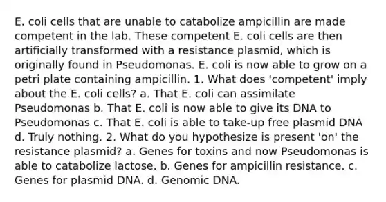 E. coli cells that are unable to catabolize ampicillin are made competent in the lab. These competent E. coli cells are then artificially transformed with a resistance plasmid, which is originally found in Pseudomonas. E. coli is now able to grow on a petri plate containing ampicillin. 1. What does 'competent' imply about the E. coli cells? a. That E. coli can assimilate Pseudomonas b. That E. coli is now able to give its DNA to Pseudomonas c. That E. coli is able to take-up free plasmid DNA d. Truly nothing. 2. What do you hypothesize is present 'on' the resistance plasmid? a. Genes for toxins and now Pseudomonas is able to catabolize lactose. b. Genes for ampicillin resistance. c. Genes for plasmid DNA. d. Genomic DNA.