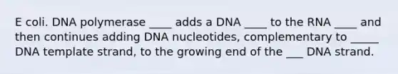 E coli. DNA polymerase ____ adds a DNA ____ to the RNA ____ and then continues adding DNA nucleotides, complementary to _____ DNA template strand, to the growing end of the ___ DNA strand.