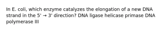 In E. coli, which enzyme catalyzes the elongation of a new DNA strand in the 5' → 3' direction? DNA ligase helicase primase DNA polymerase III