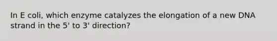 In E coli, which enzyme catalyzes the elongation of a new DNA strand in the 5' to 3' direction?