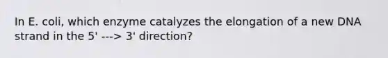 In E. coli, which enzyme catalyzes the elongation of a new DNA strand in the 5' ---> 3' direction?