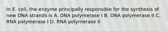 In E. coli, the enzyme principally responsible for the synthesis of new DNA strands is A. DNA polymerase I B. DNA polymerase II C. RNA polymerase I D. RNA polymerase II