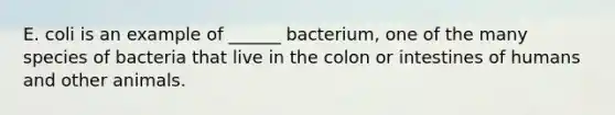 E. coli is an example of ______ bacterium, one of the many species of bacteria that live in the colon or intestines of humans and other animals.