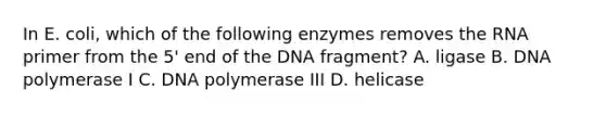 In E. coli, which of the following enzymes removes the RNA primer from the 5' end of the DNA fragment? A. ligase B. DNA polymerase I C. DNA polymerase III D. helicase