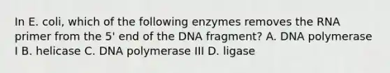 In E. coli, which of the following enzymes removes the RNA primer from the 5' end of the DNA fragment? A. DNA polymerase I B. helicase C. DNA polymerase III D. ligase